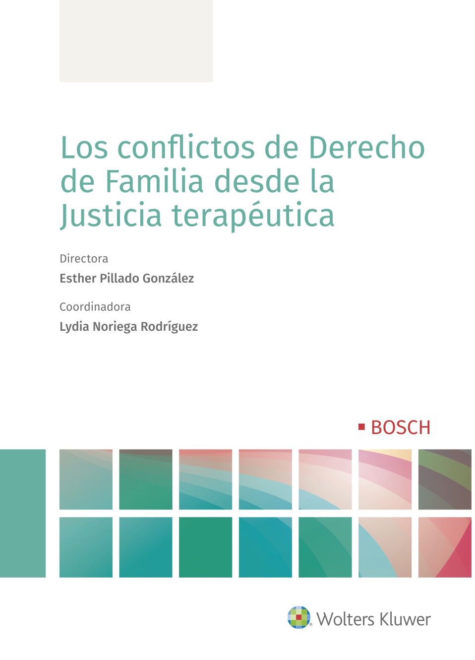 CONFLICTOS DE DERECHO DE FAMILIA