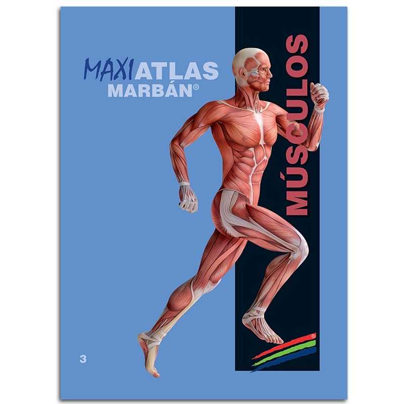 MAXI ATLAS 3 MUSCULOS