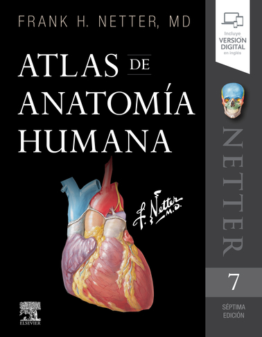 ATLAS DE ANATOMIA HUMANA 7ª ED. NETTER