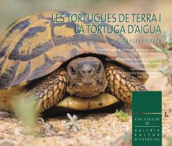 TORTUGUES DE TERRA I LA TORTUGA DE D'AIGUA A LES ILLES BALEARS