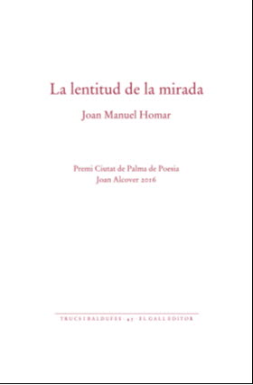 LENTITUD DE LA MIRADA, LA