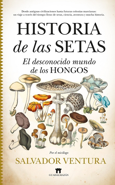 HISTORIA DE LAS SETAS  EL DESCONOCIDO MUNDO DE LOS HONGOS