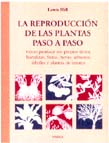 REPRODUCCION DE LAS PLANTAS PASO A PASO