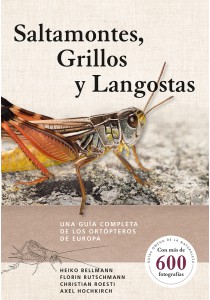 SALTAMONTES GRILLOS Y LANGOSTAS