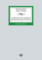 COMPENDIO DE DERECHO INTERNACIONAL PUBLICO