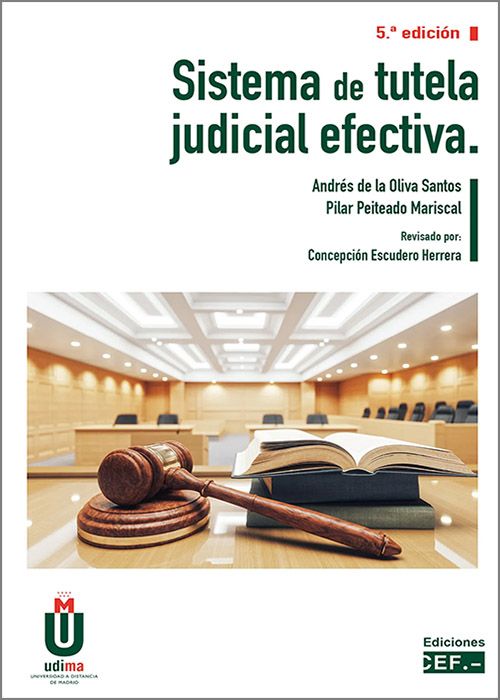 SISTEMA DE TUTELA JUDICIAL EFECTIVA 2023