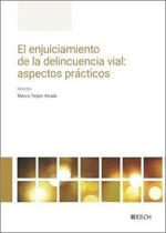 ENJUICIAMIENTO DE LA DELINCUENCIA VIAL ASPECTOS PRACTICOS