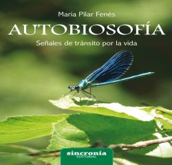 AUTOBIOSOFIA SEÑALES DE TRANSITO POR LA VIDA