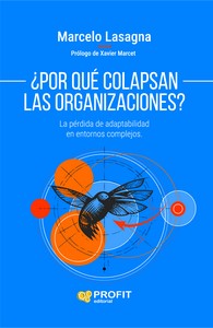 POR QUE COLAPSAN LAS ORANIZACIONES